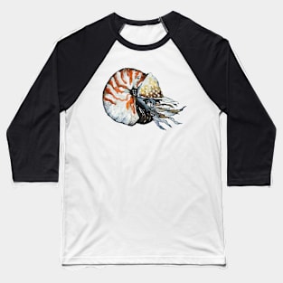 Nautilus mollusca Baseball T-Shirt